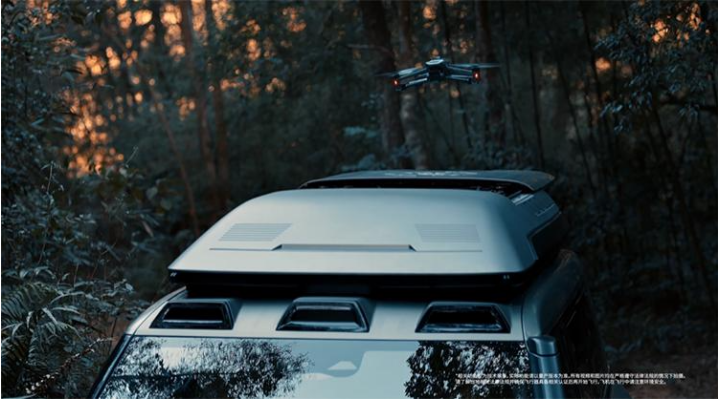 BYD 1.png