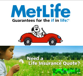 metlife .jpg