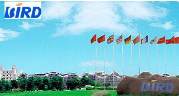 ningbo bird.jpg