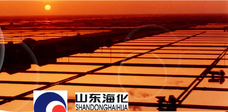 山东海化.jpg